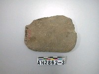 藏品(中型片狀磨製石斧)的圖片